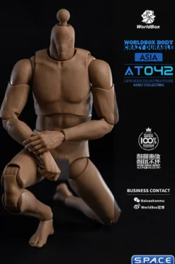 1/6 Scale Durable Body AT042