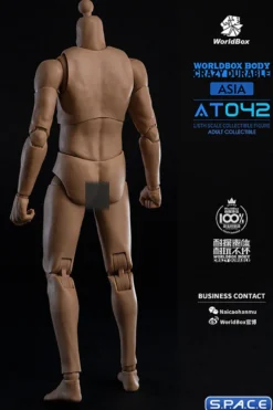 1/6 Scale Durable Body AT042