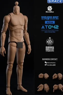 1/6 Scale Durable Body AT042