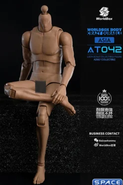 1/6 Scale Durable Body AT042