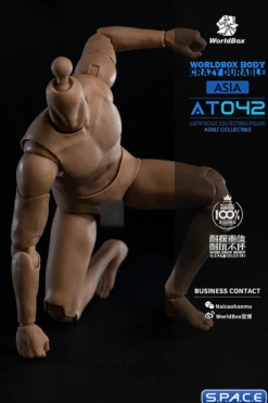 1/6 Scale Durable Body AT042