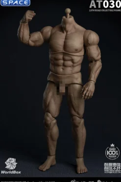 1/6 Scale Durable Male Body AT030