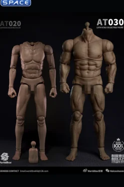 1/6 Scale Durable Male Body AT030