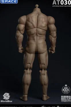 1/6 Scale Durable Male Body AT030