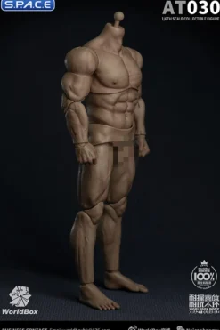1/6 Scale Durable Male Body AT030