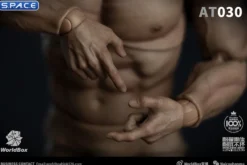 1/6 Scale Durable Male Body AT030