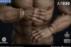 1/6 Scale Durable Male Body AT030