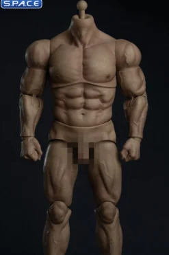 1/6 Scale Durable Male Body AT030