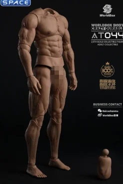 1/6 Scale Durable Male Body AT044