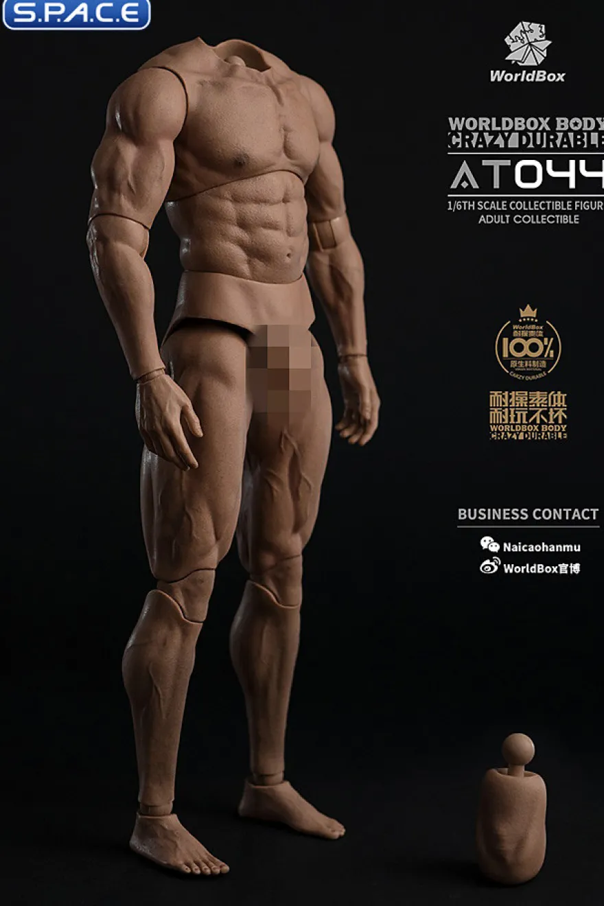 1/6 Scale Durable Male Body AT044