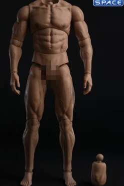 1/6 Scale Durable Male Body AT044