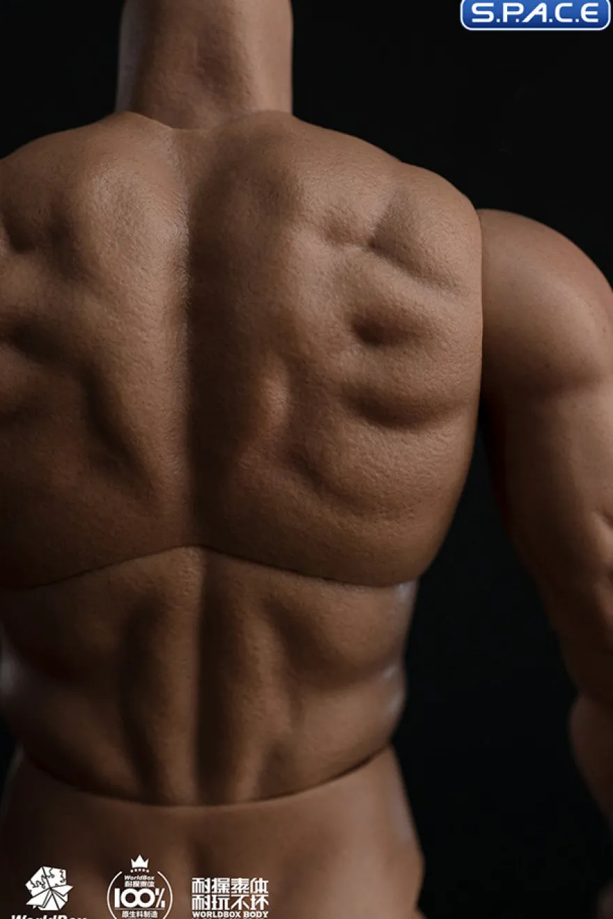 1/6 Scale Durable Male Body AT044