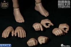 1/6 Scale Durable Plump Body