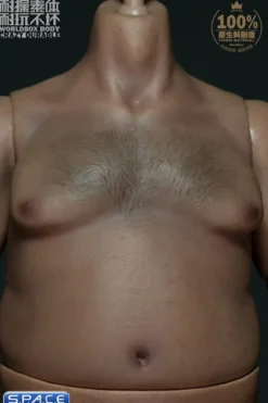 1/6 Scale Durable Plump Body