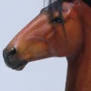 1/6 Scale Duweime Horse 2.0 Version 4