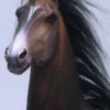 1/6 Scale Duweime Horse 2.0 Version 5