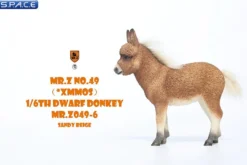 1/6 Scale Dwarf Donkey Foal