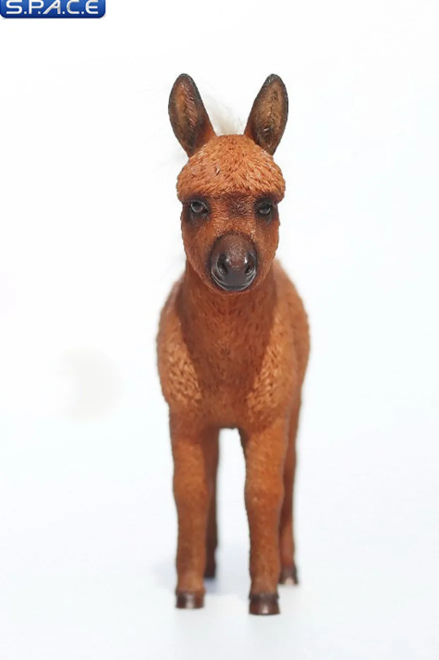 1/6 Scale Dwarf Donkey Foal