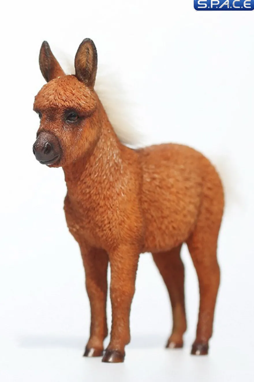 1/6 Scale Dwarf Donkey Foal