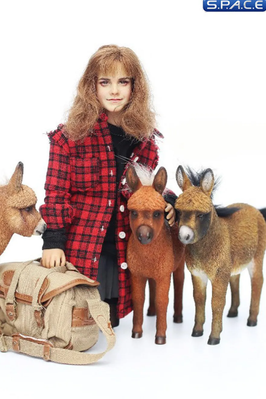 1/6 Scale Dwarf Donkey Foal