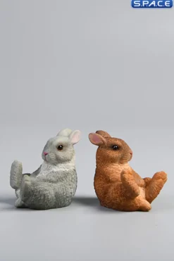 1/6 Scale Dwarf Rabbit Set A