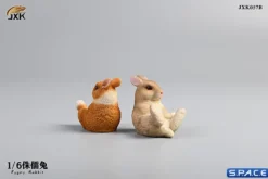1/6 Scale Dwarf Rabbit Set B
