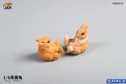 1/6 Scale Dwarf Rabbit Set C