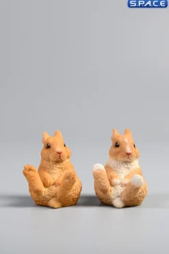 1/6 Scale Dwarf Rabbit Set C