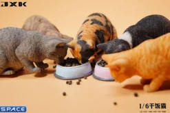 1/6 Scale eating Cat Version B