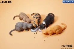 1/6 Scale eating Cat Version B