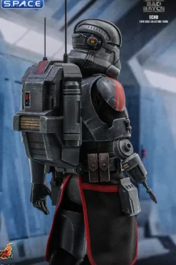 1/6 Scale Echo TV Masterpiece TMS042