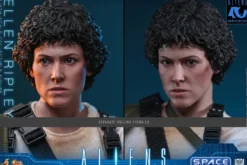 1/6 Scale Ellen Ripley Movie Masterpiece MMS894