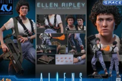 1/6 Scale Ellen Ripley Movie Masterpiece MMS894