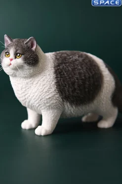 1/6 Scale Fat Cat (grey/white)
