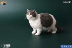 1/6 Scale Fat Cat (grey/white)