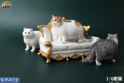 1/6 Scale Fat Cat (tricolor)
