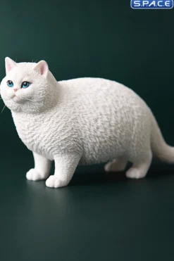 1/6 Scale Fat Cat (white)