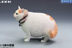 1/6 Scale Fat Cat with changeable Head