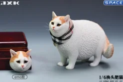 1/6 Scale Fat Cat with changeable Head