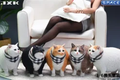 1/6 Scale Fat Cat with changeable Head