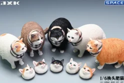 1/6 Scale Fat Cat with changeable Head