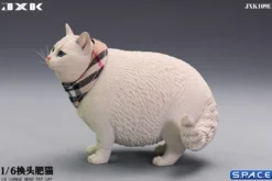 1/6 Scale Fat Cat with changeable Head