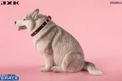 1/6 Scale fat Husky