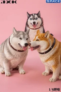 1/6 Scale fat Husky