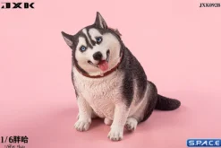 1/6 Scale fat Husky