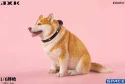 1/6 Scale fat Husky