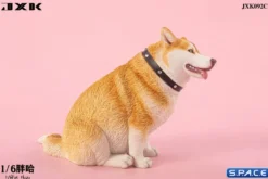1/6 Scale fat Husky