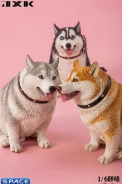 1/6 Scale fat Husky