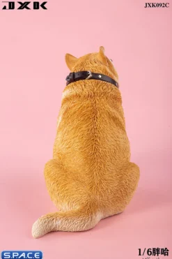 1/6 Scale fat Husky