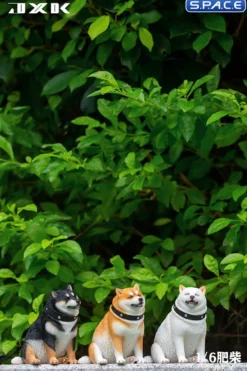 1/6 Scale fat Shiba Inu